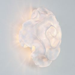 a-emotional Nevo wall light AA-NE06